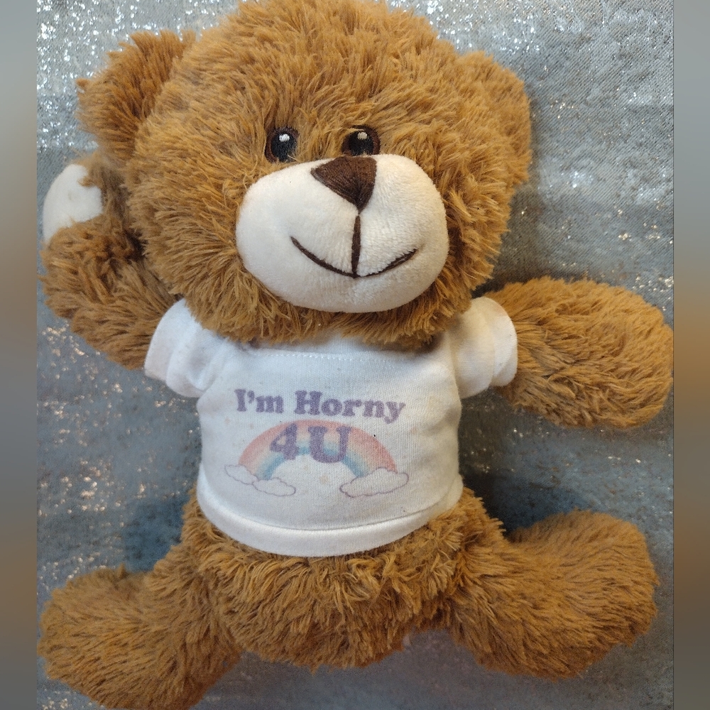 Dolls Kill freaky naughty teddy bear RARE